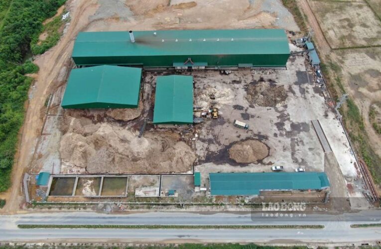 Tai nạn lao động tại xưởng sản xuất gỗ khiến 2 người thương vong